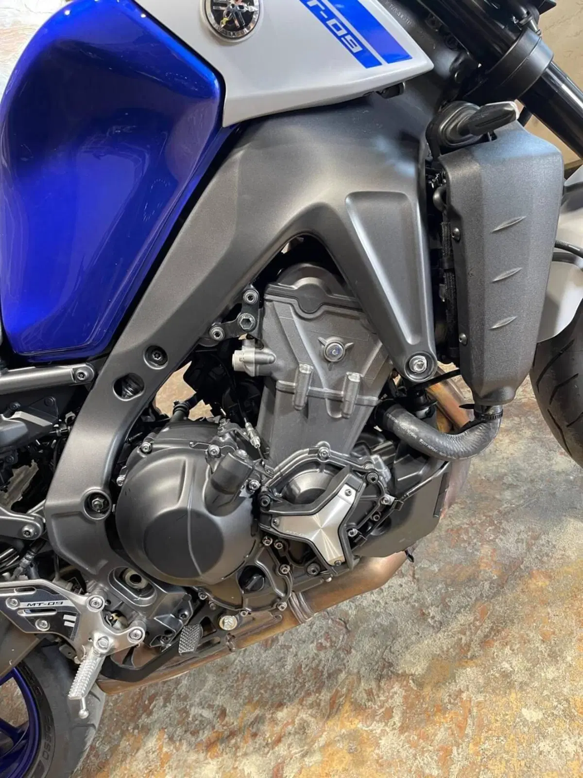 Yamaha MT-09 (2021 - 23) (11)
