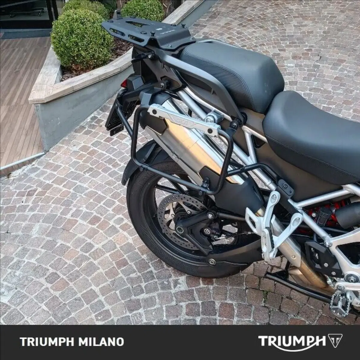 Triumph Tiger 1200 GT Explorer (2024 - 26) (2)
