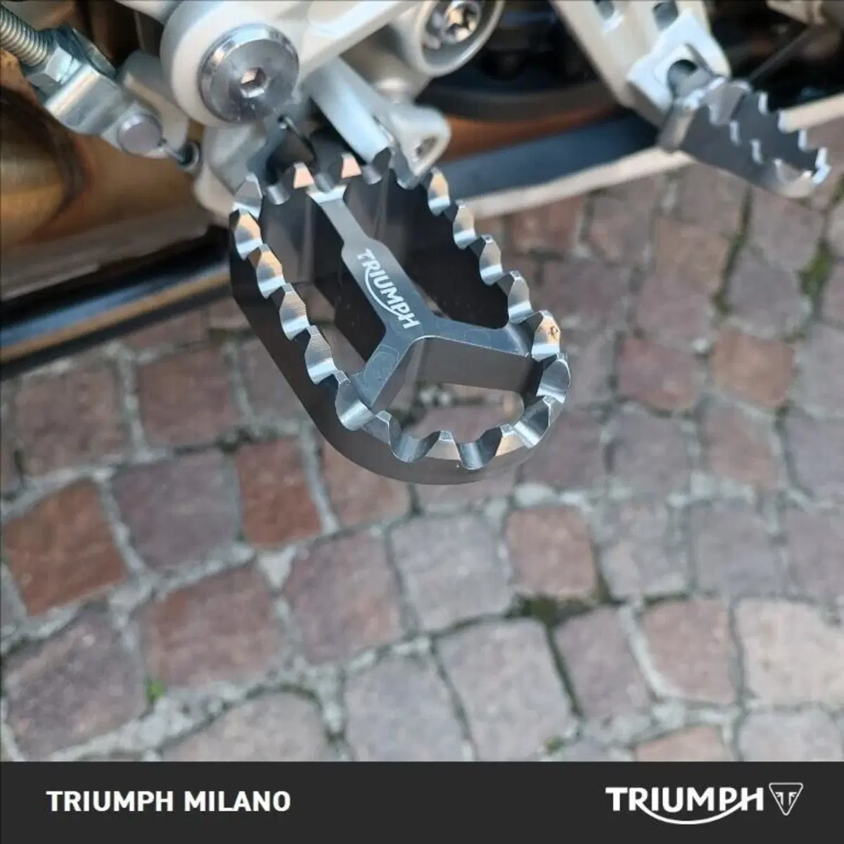 Triumph Tiger 1200 GT Explorer (2024 - 26) (4)