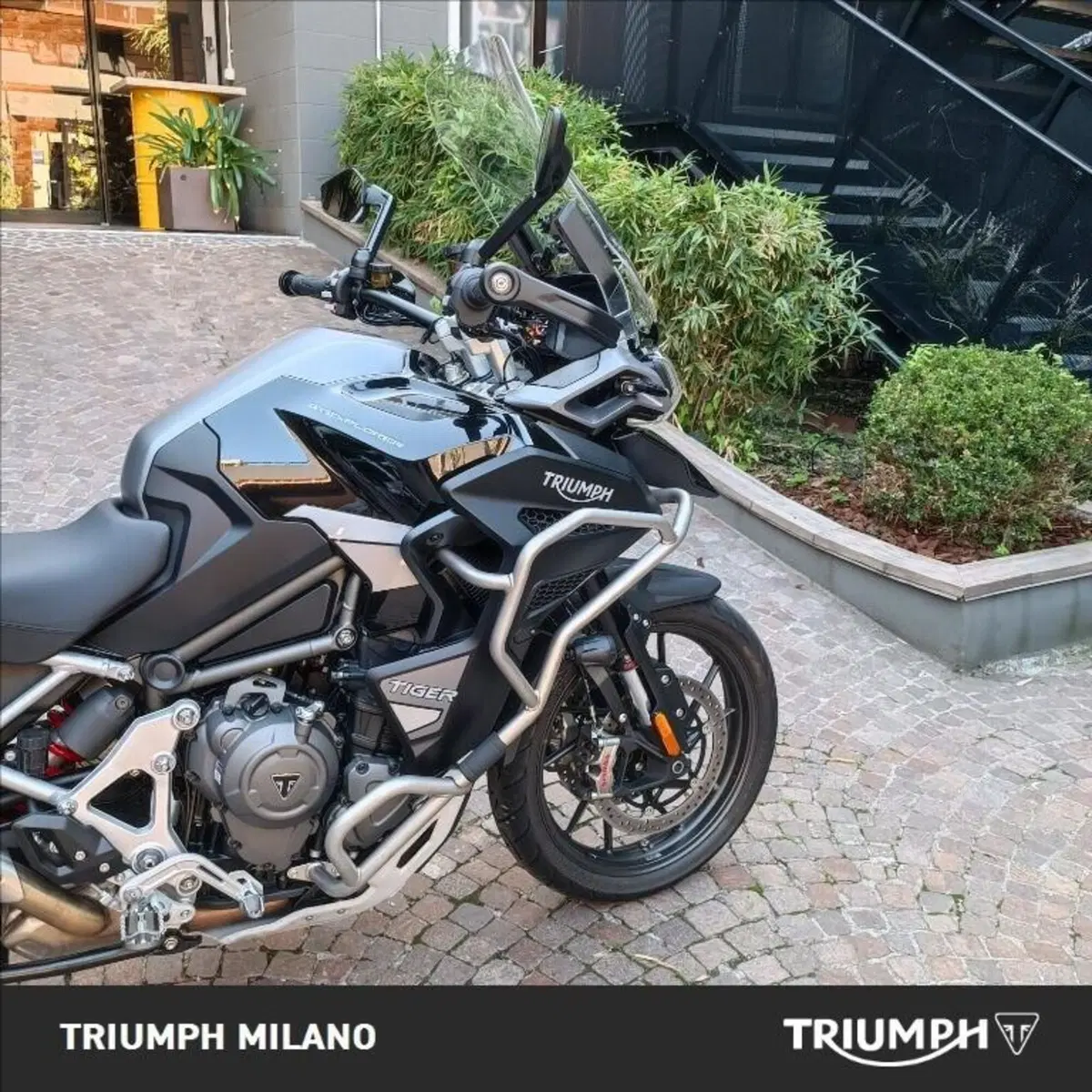 Triumph Tiger 1200 GT Explorer (2024 - 26) (5)