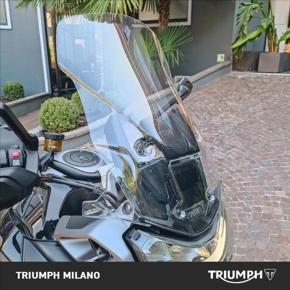 Triumph Tiger 1200 GT Explorer (2024 - 26) (6)
