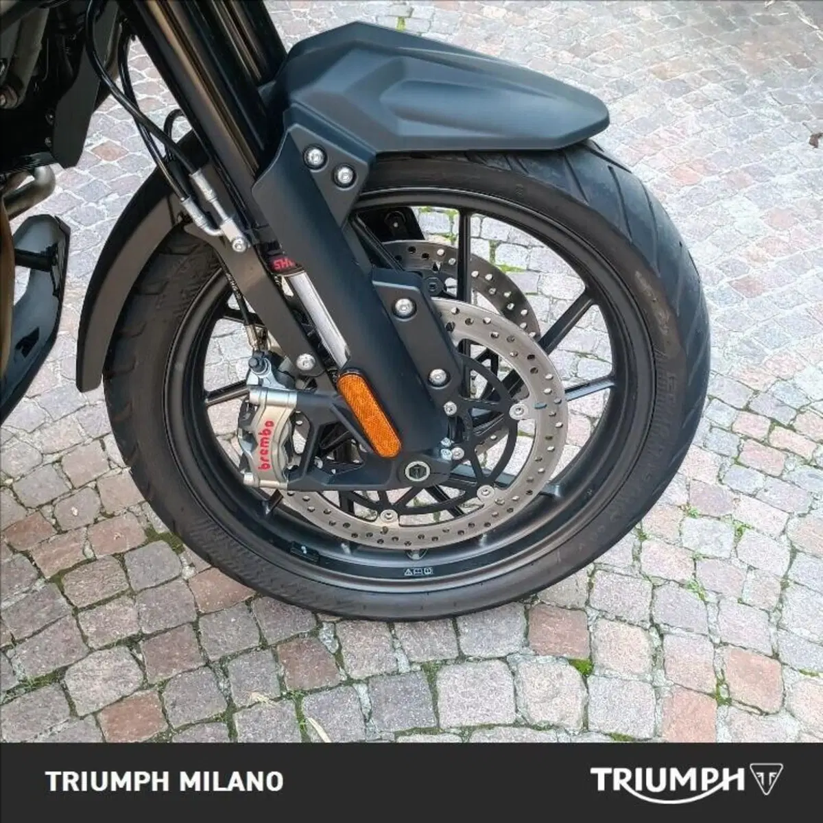 Triumph Tiger 1200 GT Explorer (2024 - 26) (8)