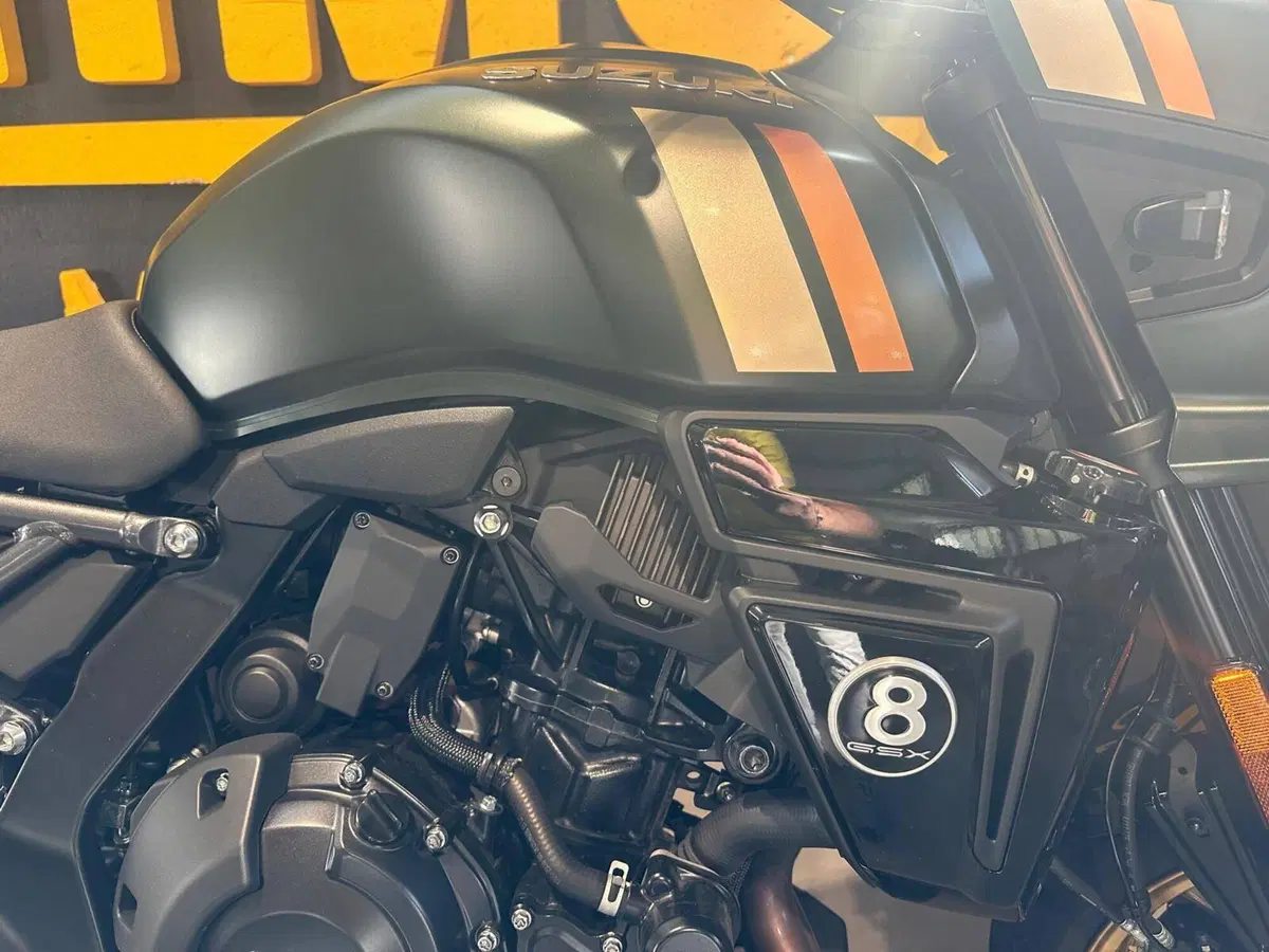 Suzuki GSX-8TT (2025 - 26) (6)