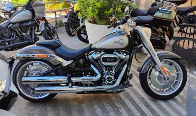 Harley-Davidson Fat Boy 114 (2021 - 24) usata