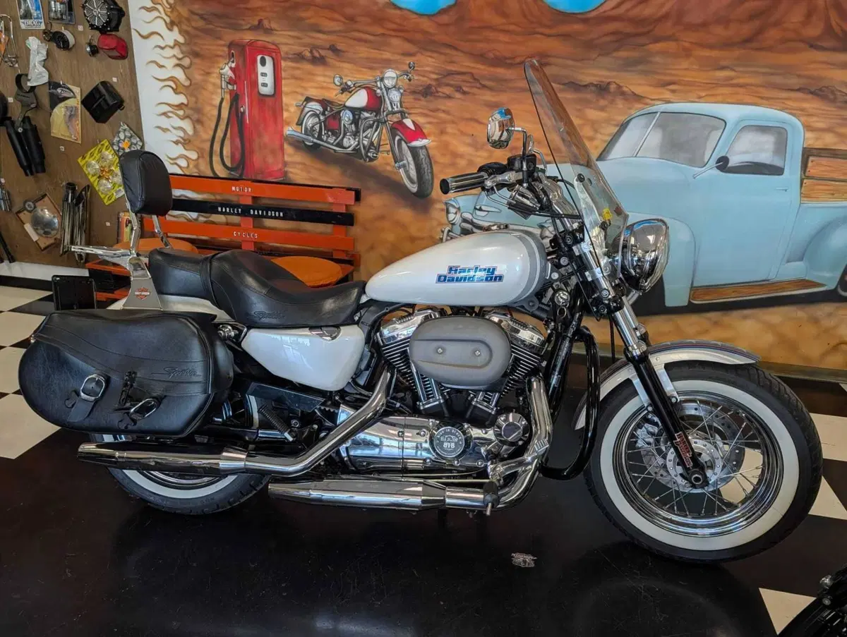 Harley-Davidson 1200 Custom (2007 - 13) - XL 1200C (2)