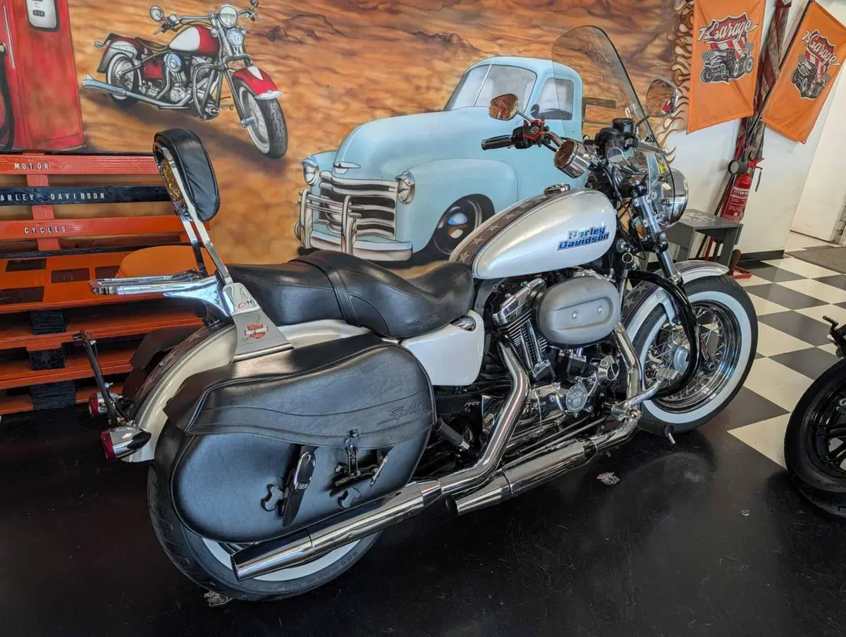 Harley-Davidson 1200 Custom (2007 - 13) - XL 1200C (4)