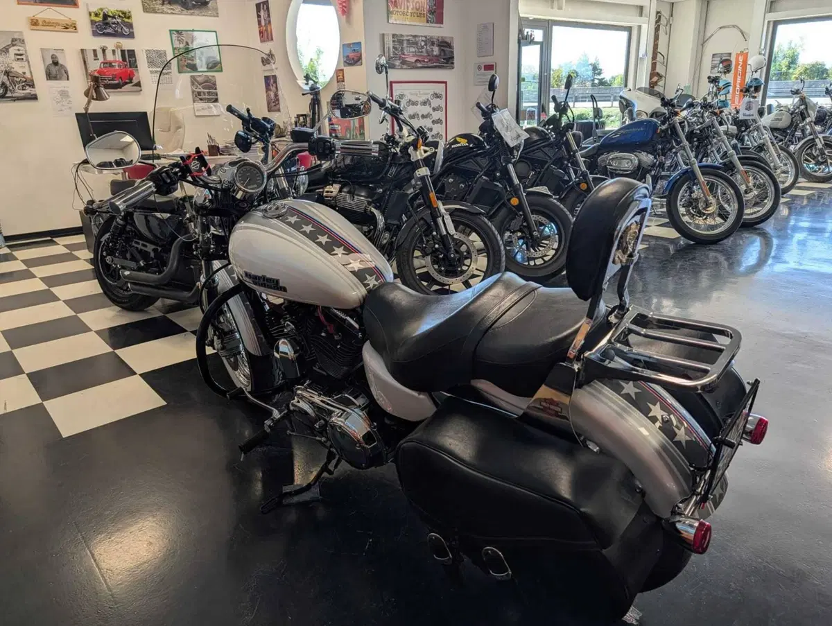 Harley-Davidson 1200 Custom (2007 - 13) - XL 1200C (5)
