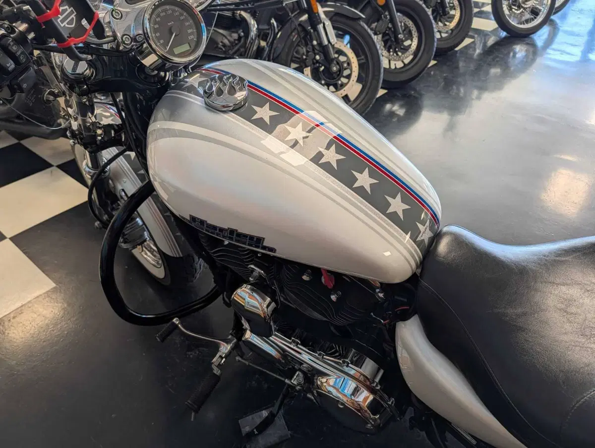 Harley-Davidson 1200 Custom (2007 - 13) - XL 1200C (6)