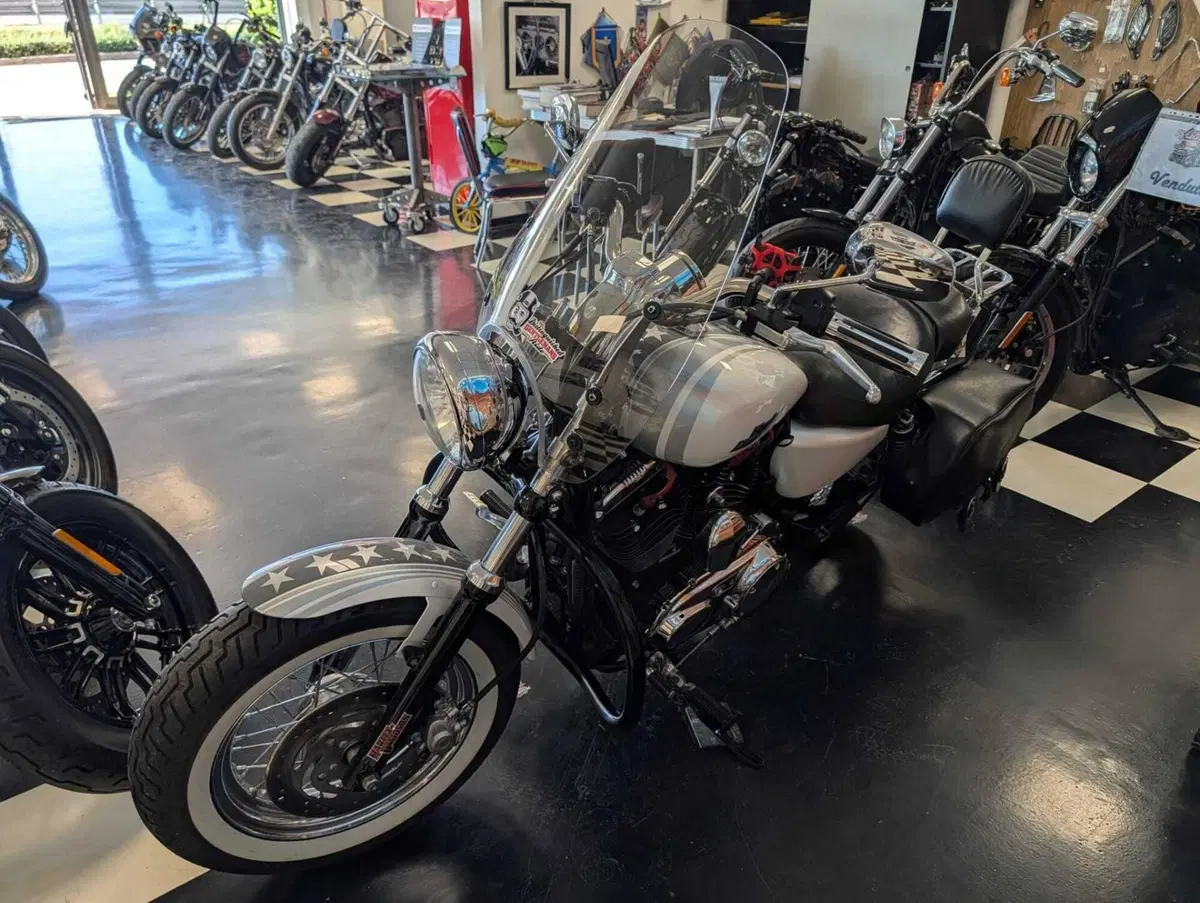 Harley-Davidson 1200 Custom (2007 - 13) - XL 1200C (7)