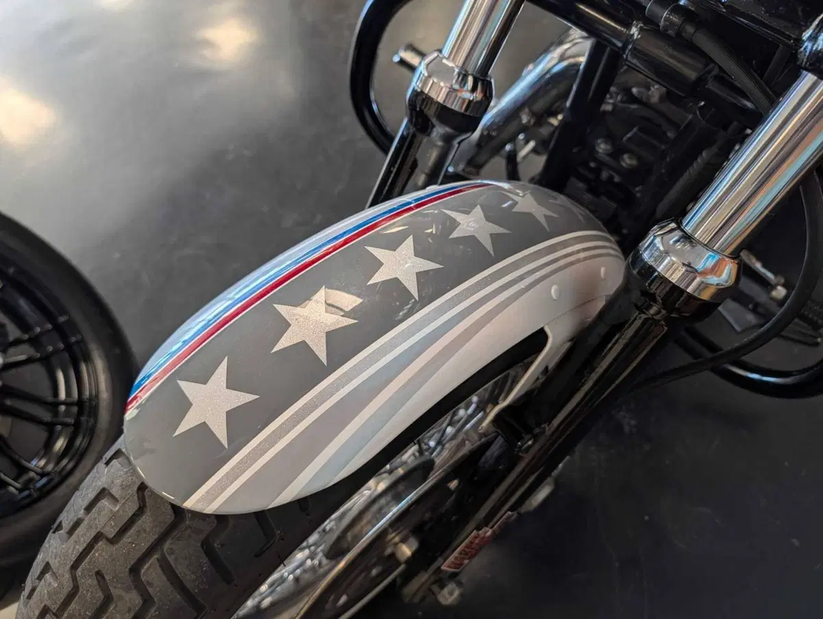 Harley-Davidson 1200 Custom (2007 - 13) - XL 1200C (8)
