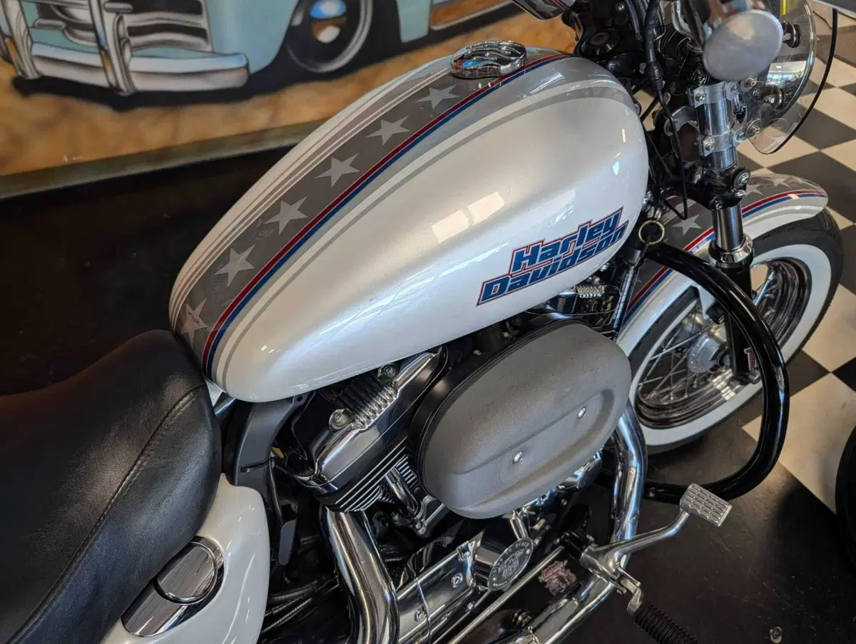 Harley-Davidson 1200 Custom (2007 - 13) - XL 1200C (9)