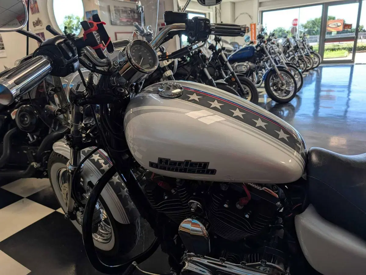 Harley-Davidson 1200 Custom (2007 - 13) - XL 1200C (10)