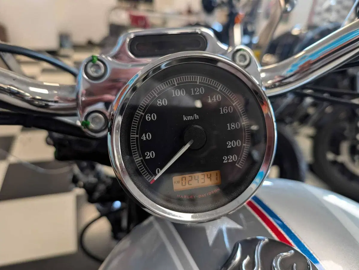 Harley-Davidson 1200 Custom (2007 - 13) - XL 1200C (11)
