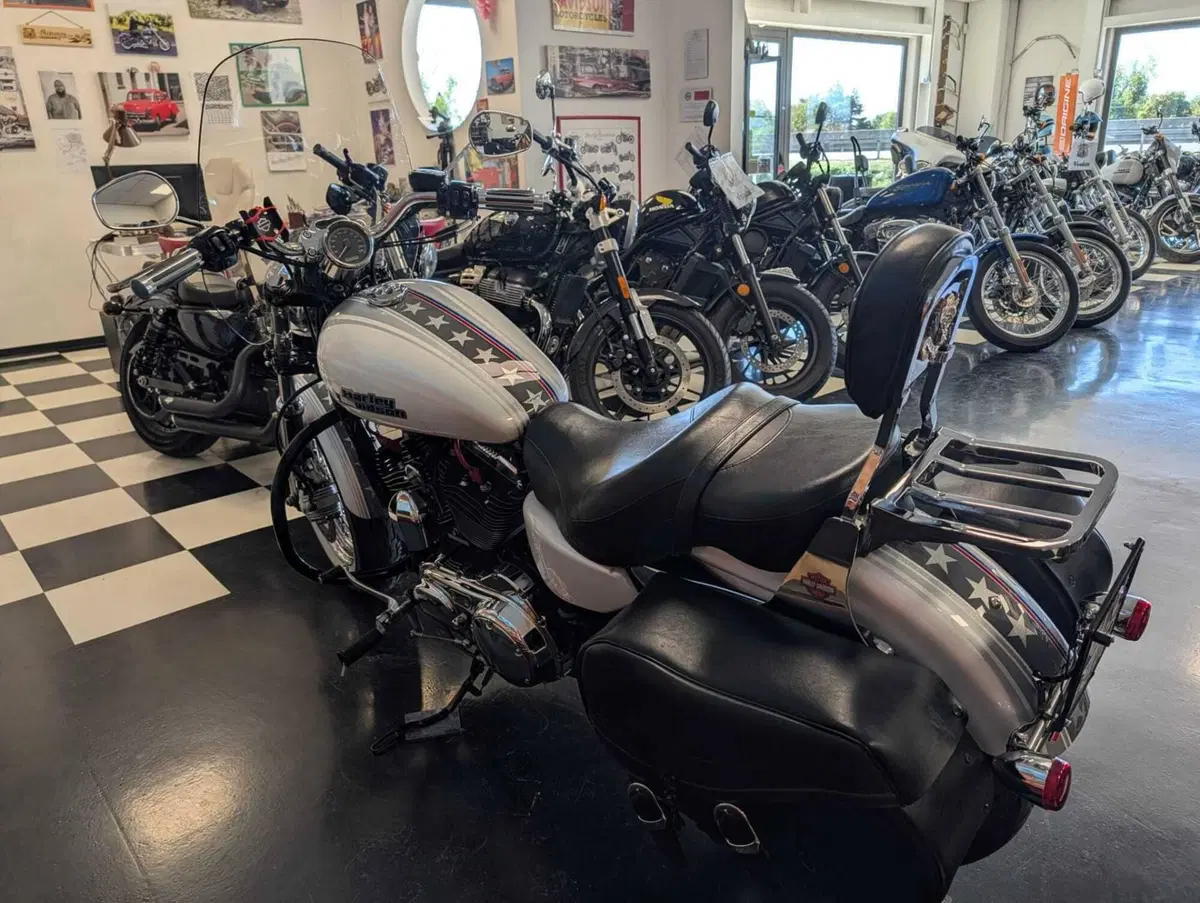 Harley-Davidson 1200 Custom (2007 - 13) - XL 1200C (12)