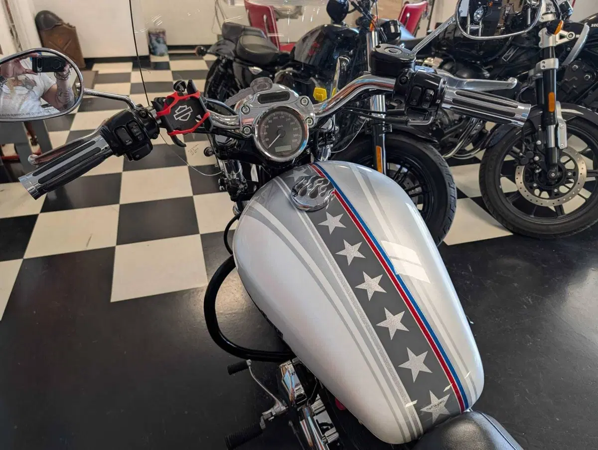 Harley-Davidson 1200 Custom (2007 - 13) - XL 1200C (13)