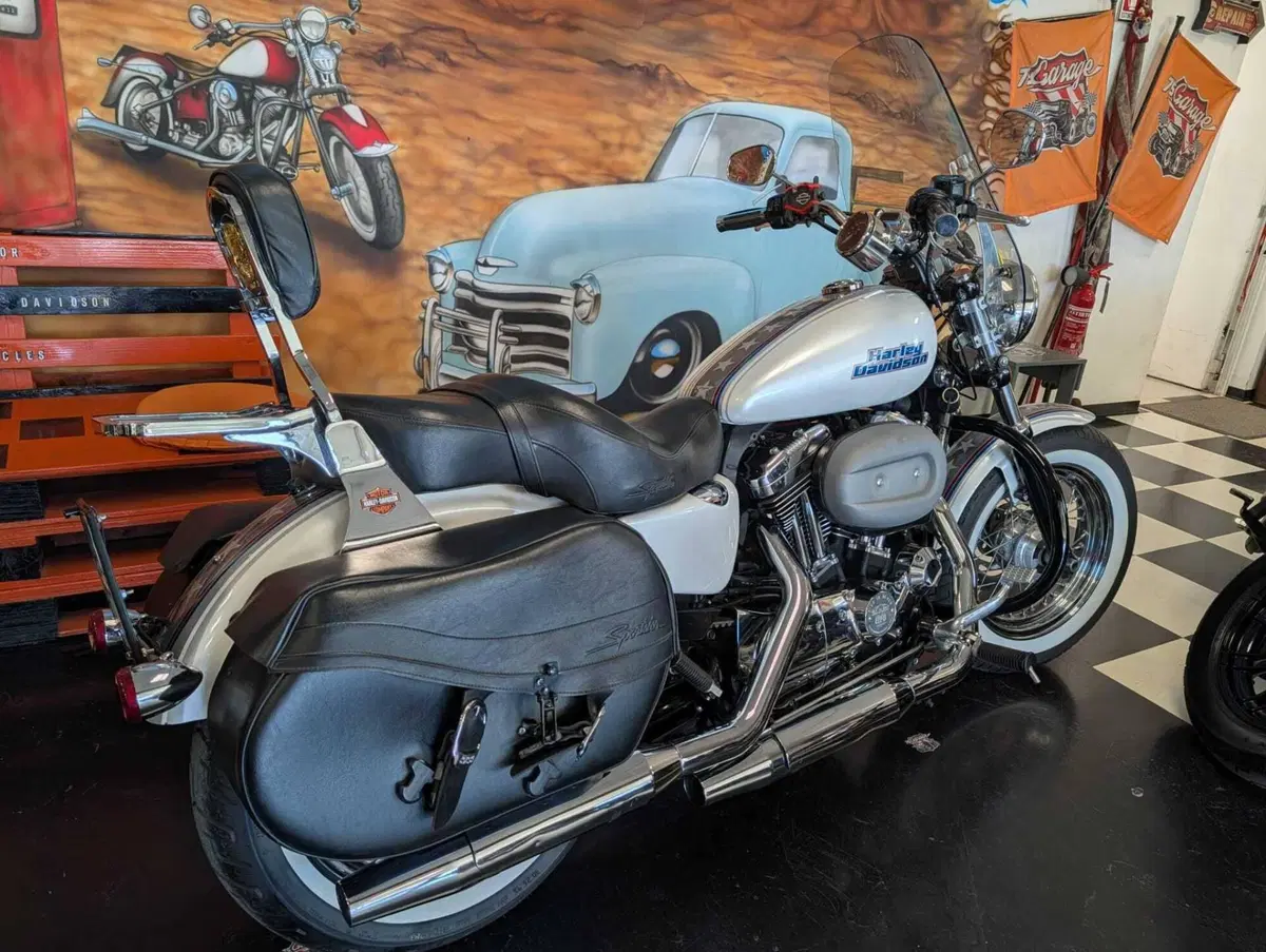 Harley-Davidson 1200 Custom (2007 - 13) - XL 1200C (14)