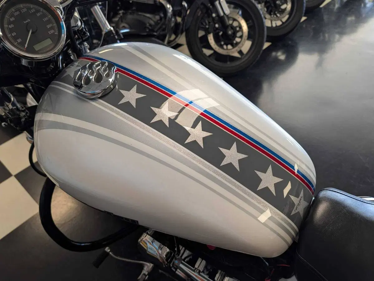 Harley-Davidson 1200 Custom (2007 - 13) - XL 1200C (15)