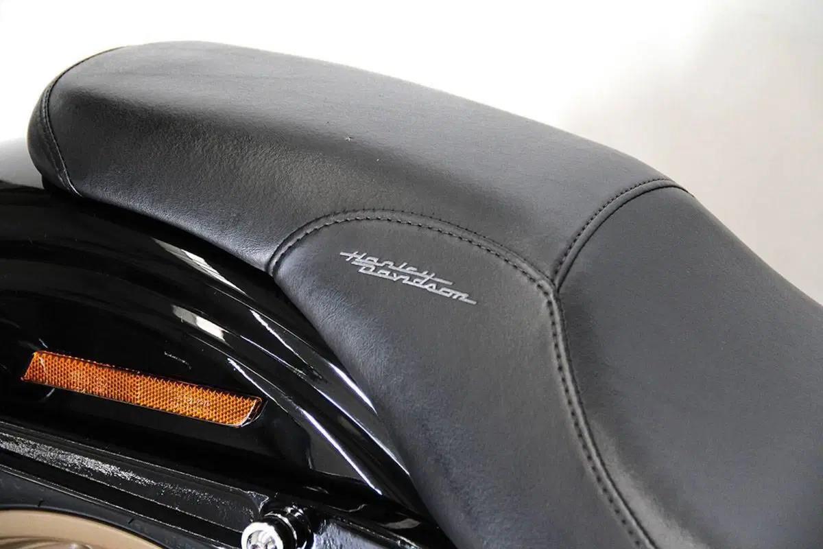Harley-Davidson 1800 Low Rider S (2016 - 17) - FXDLS (9)