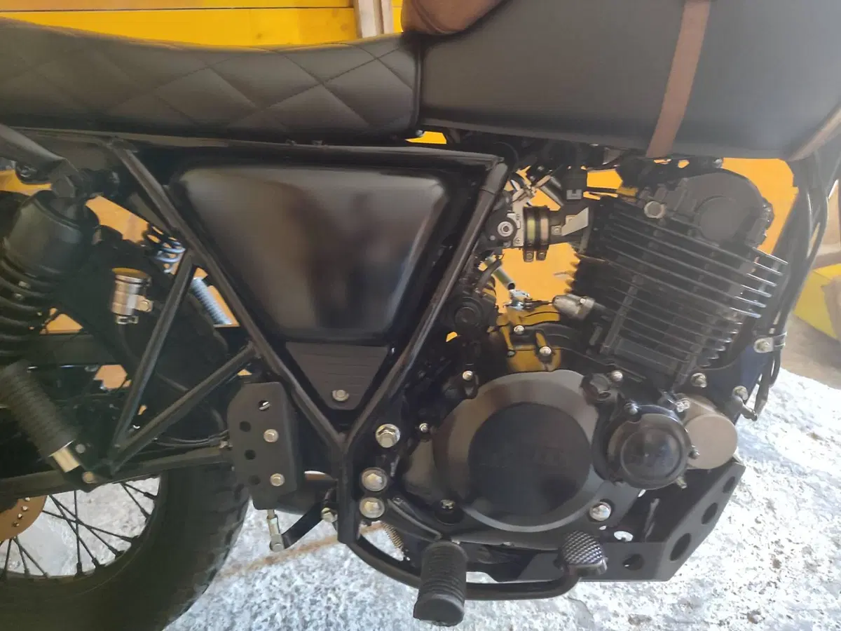 Mutt Motorcycles RS-13 250 (2019 - 20) (2)
