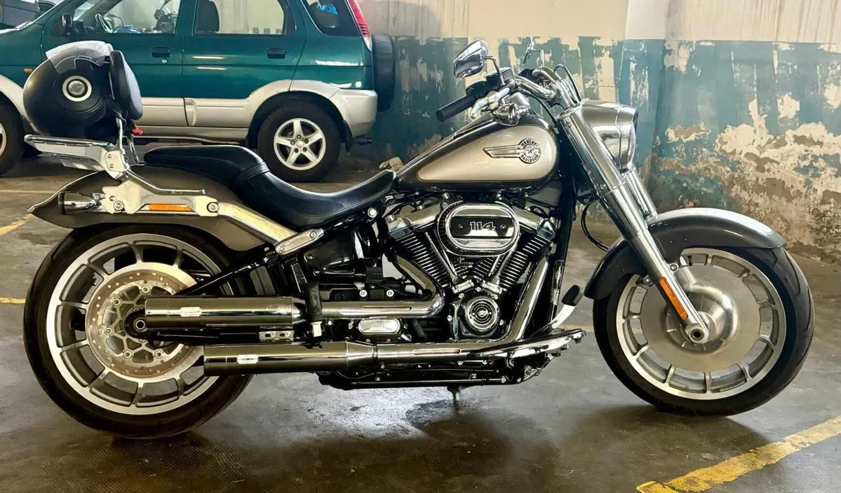 Harley-Davidson Fat Boy 114 (2021 - 24) (2)
