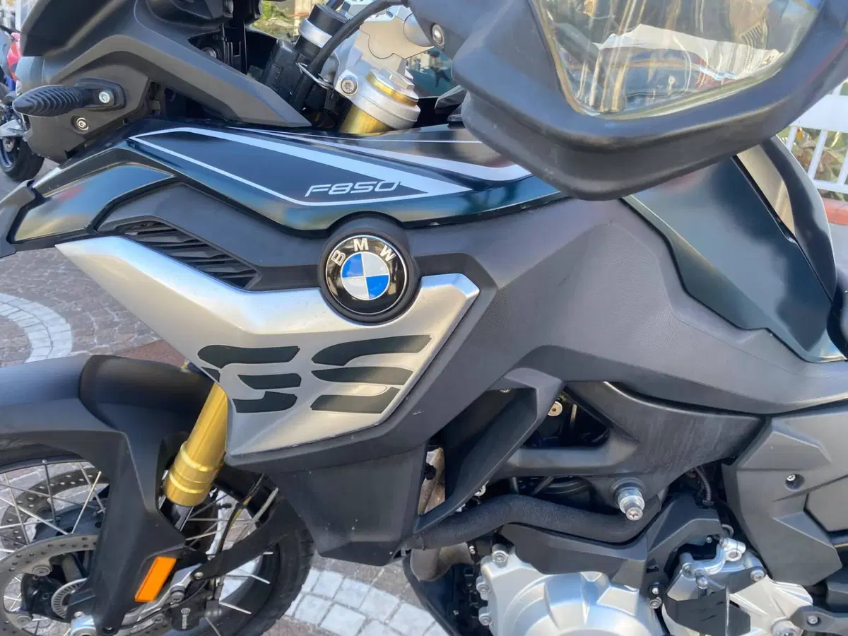 Bmw F 850 GS (2018 - 20) (6)