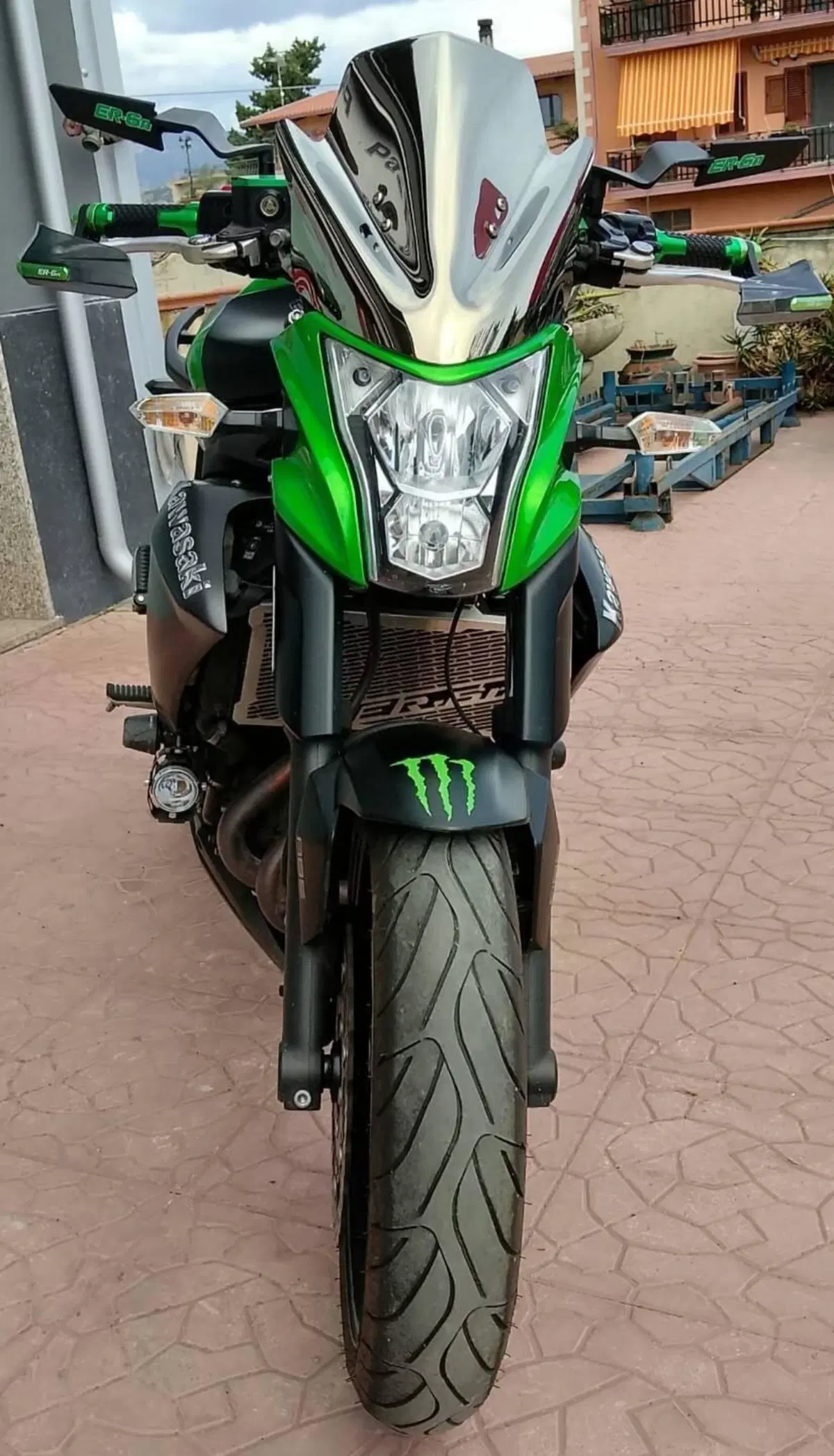 Kawasaki ER-6N ABS (2012 - 16) (2)
