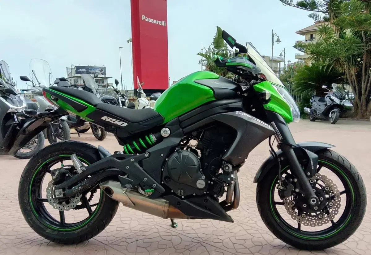 Kawasaki ER-6N ABS (2012 - 16) (6)
