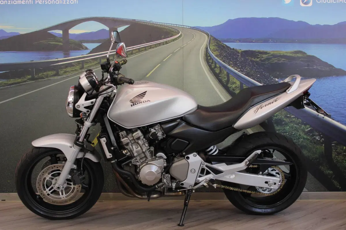 Honda Hornet 600 (2003 - 04) (7)