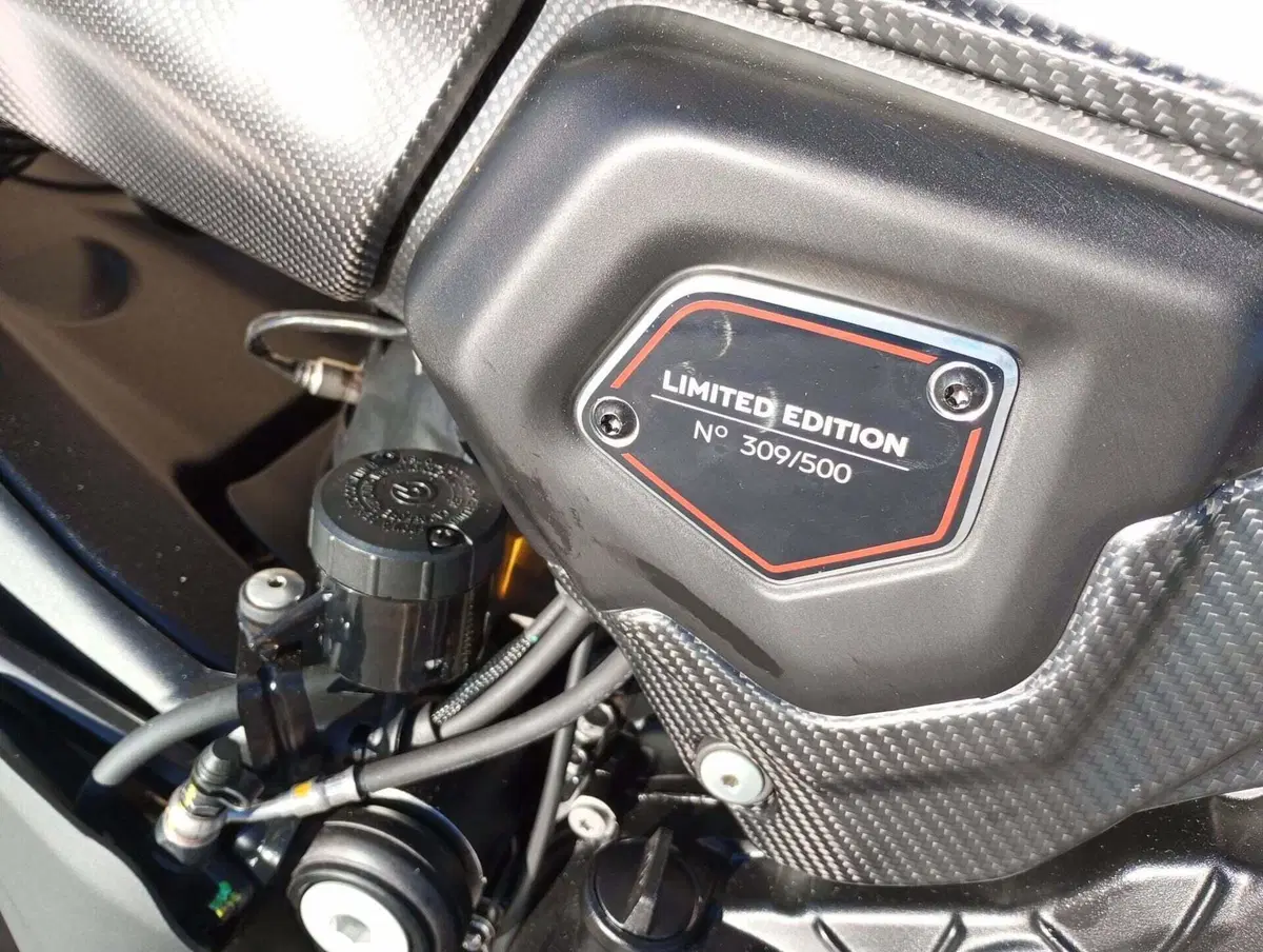 Ducati Diavel for Bentley (2024) (4)