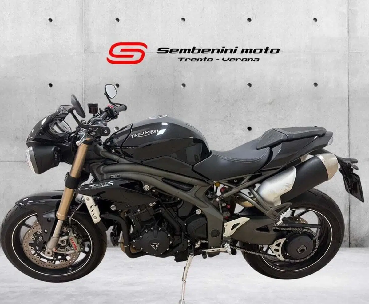 Triumph Speed Triple 1050 S ABS (2016 - 17) (2)