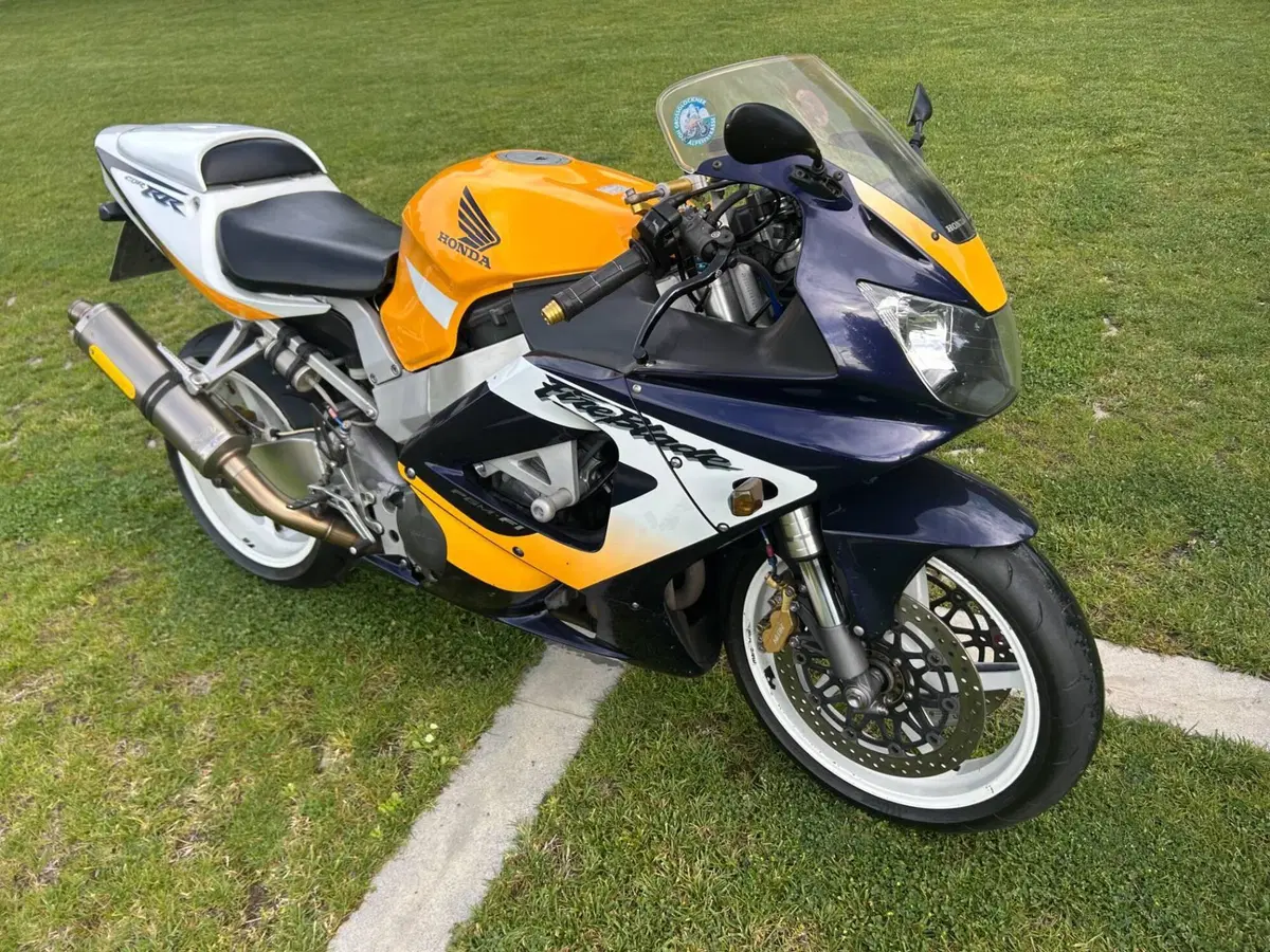 Honda CBR 900 RR Fireblade (2000 - 01)
