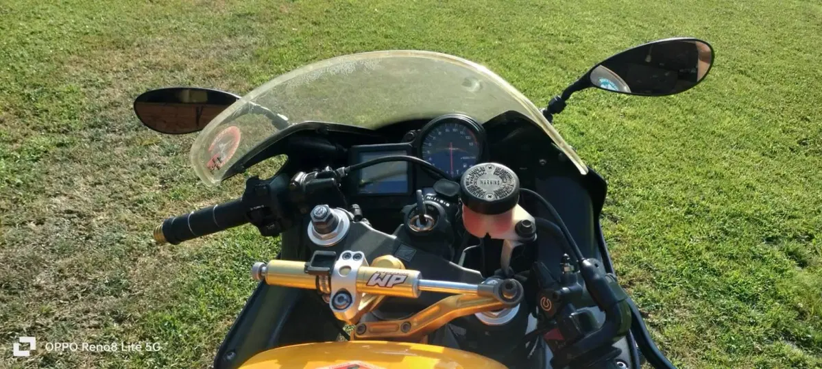 Honda CBR 900 RR Fireblade (2000 - 01) (6)