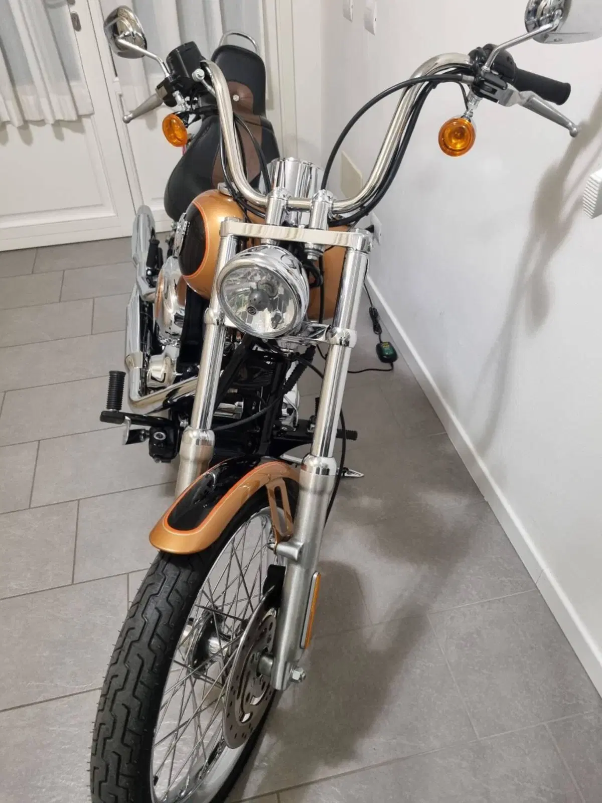 Harley-Davidson 1584 Custom (2008 - 09) - FXSTC