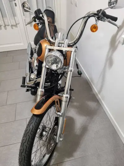 Harley-Davidson 1584 Custom (2008 - 09) - FXSTC usata