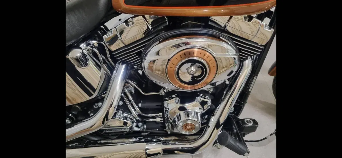Harley-Davidson 1584 Custom (2008 - 09) - FXSTC (2)