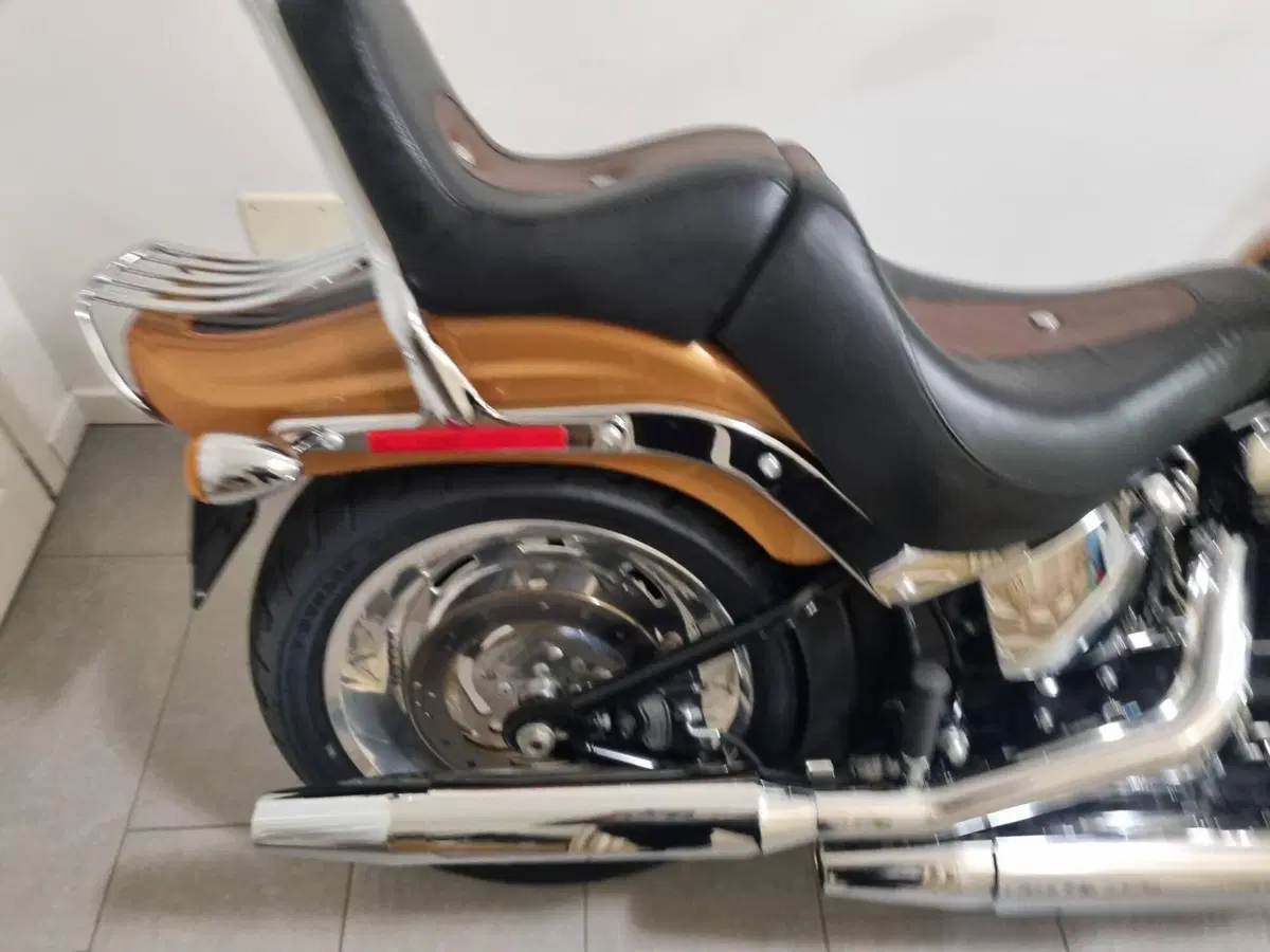 Harley-Davidson 1584 Custom (2008 - 09) - FXSTC (3)