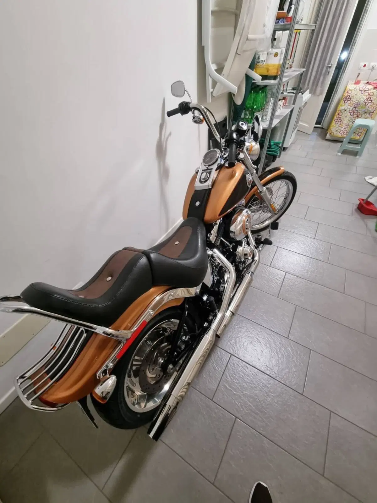 Harley-Davidson 1584 Custom (2008 - 09) - FXSTC (4)