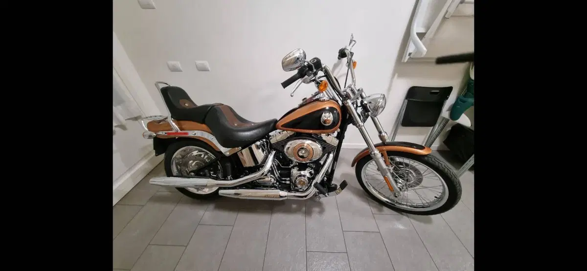 Harley-Davidson 1584 Custom (2008 - 09) - FXSTC (5)