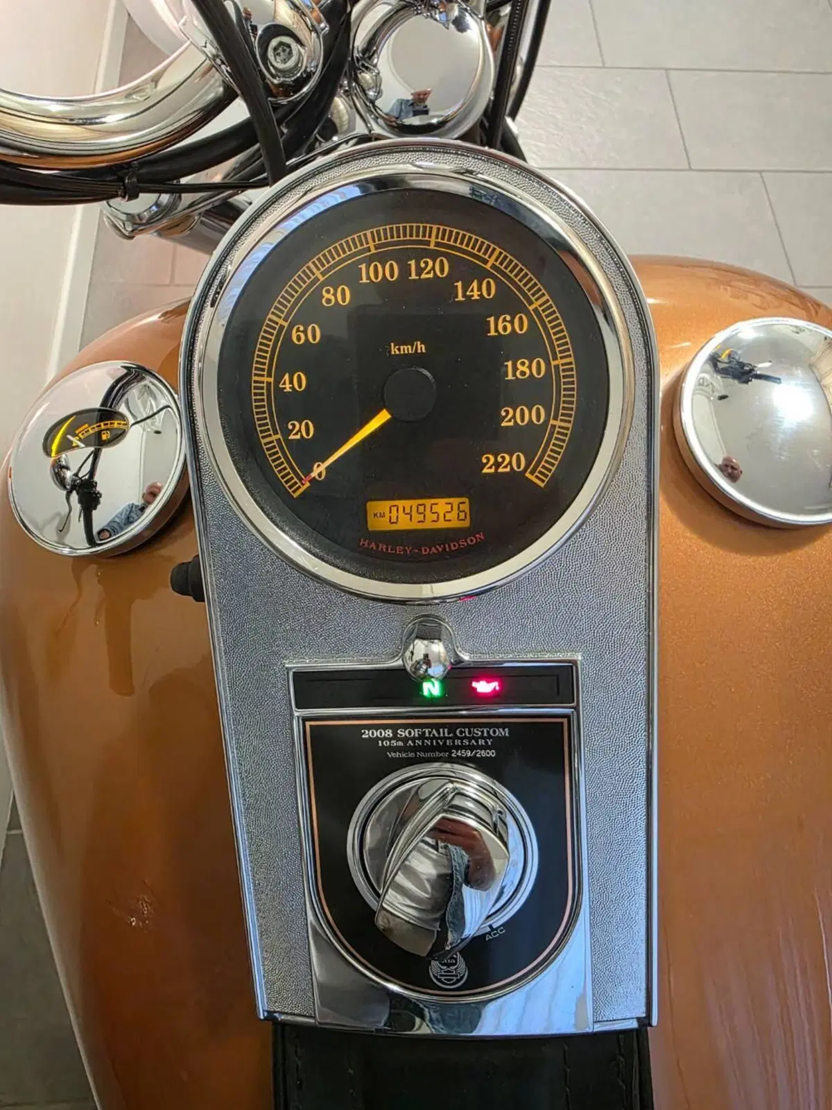 Harley-Davidson 1584 Custom (2008 - 09) - FXSTC (6)