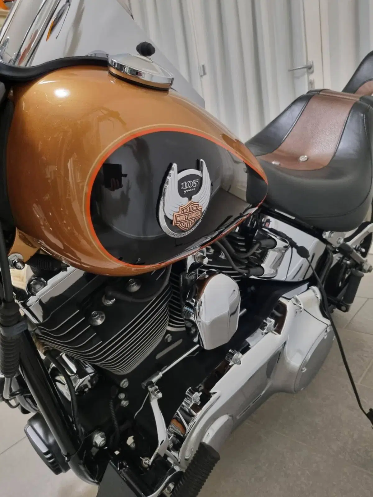 Harley-Davidson 1584 Custom (2008 - 09) - FXSTC (7)