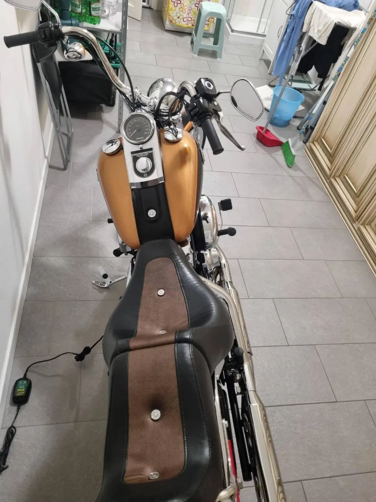 Harley-Davidson 1584 Custom (2008 - 09) - FXSTC (8)
