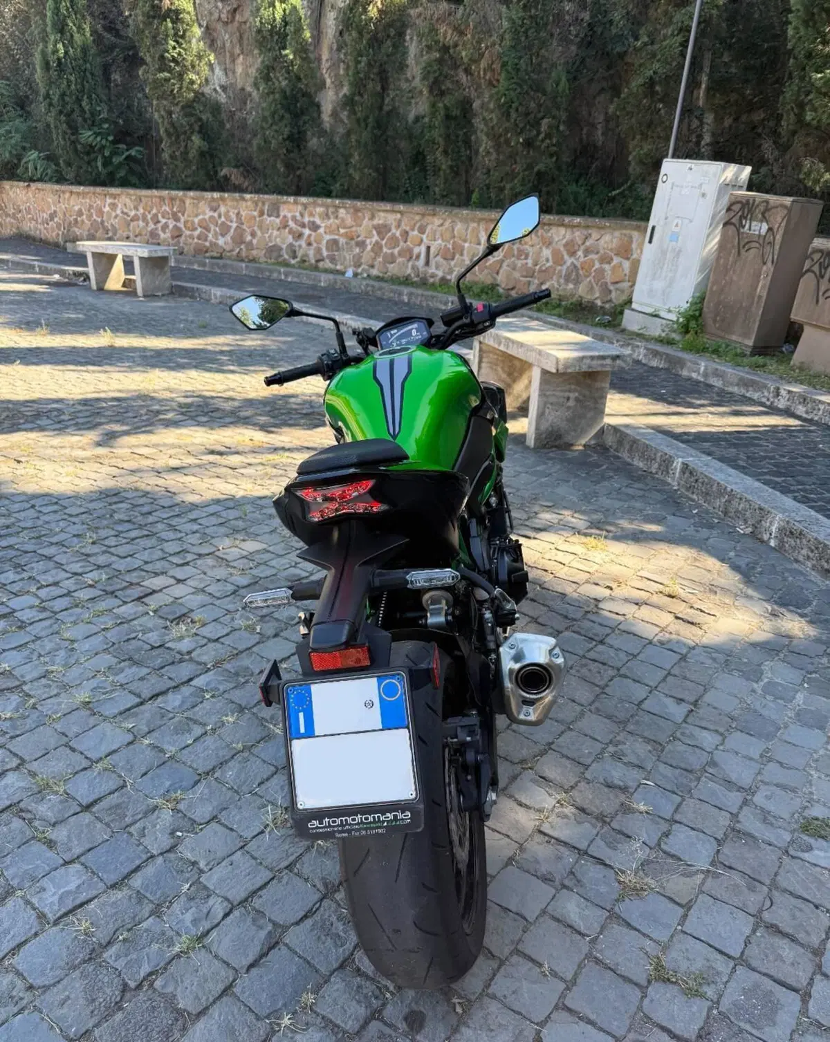 Kawasaki Z 900 (2021 - 24) (4)