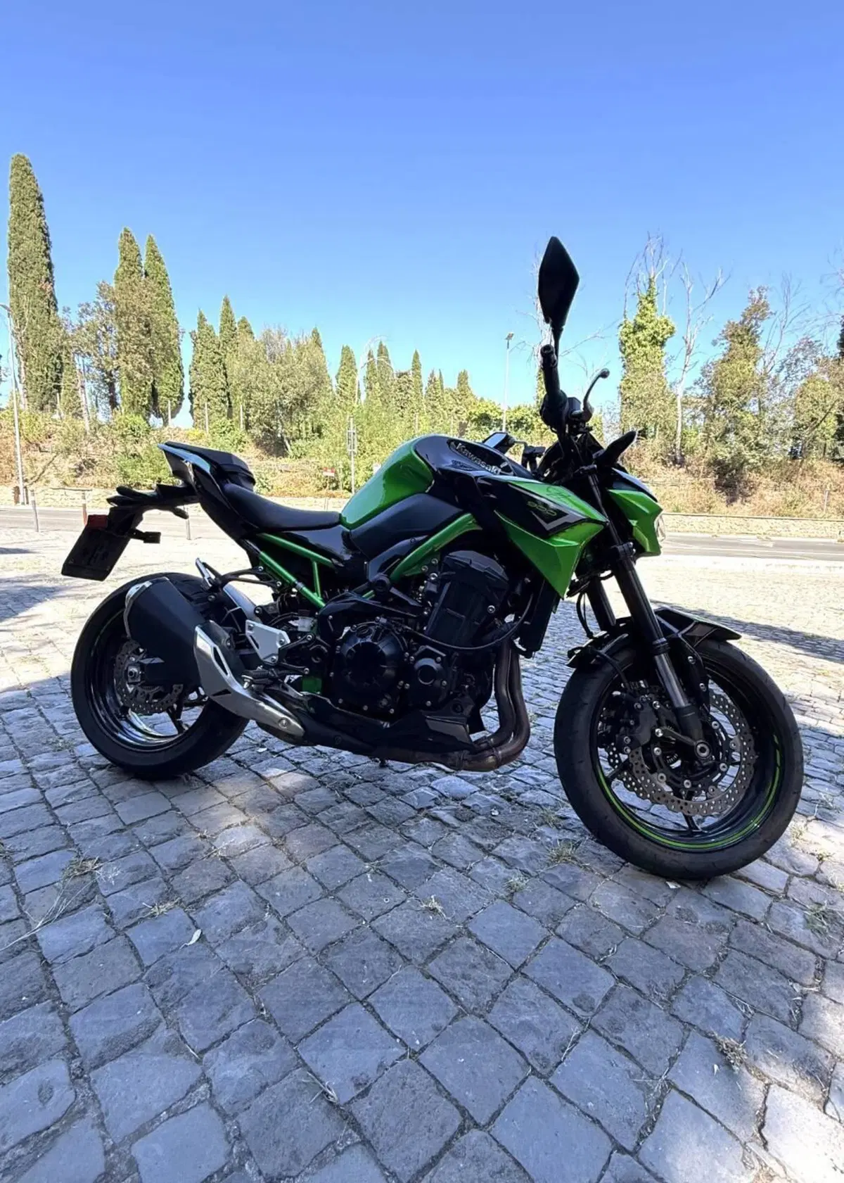 Kawasaki Z 900 (2021 - 24) (5)