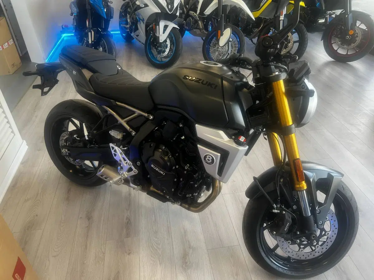 Suzuki GSX-8T (2025 - 26) (2)