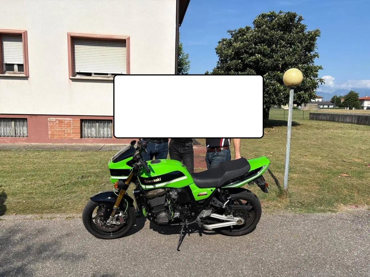 Kawasaki ZRX 1200 S (2001 - 04) (3)