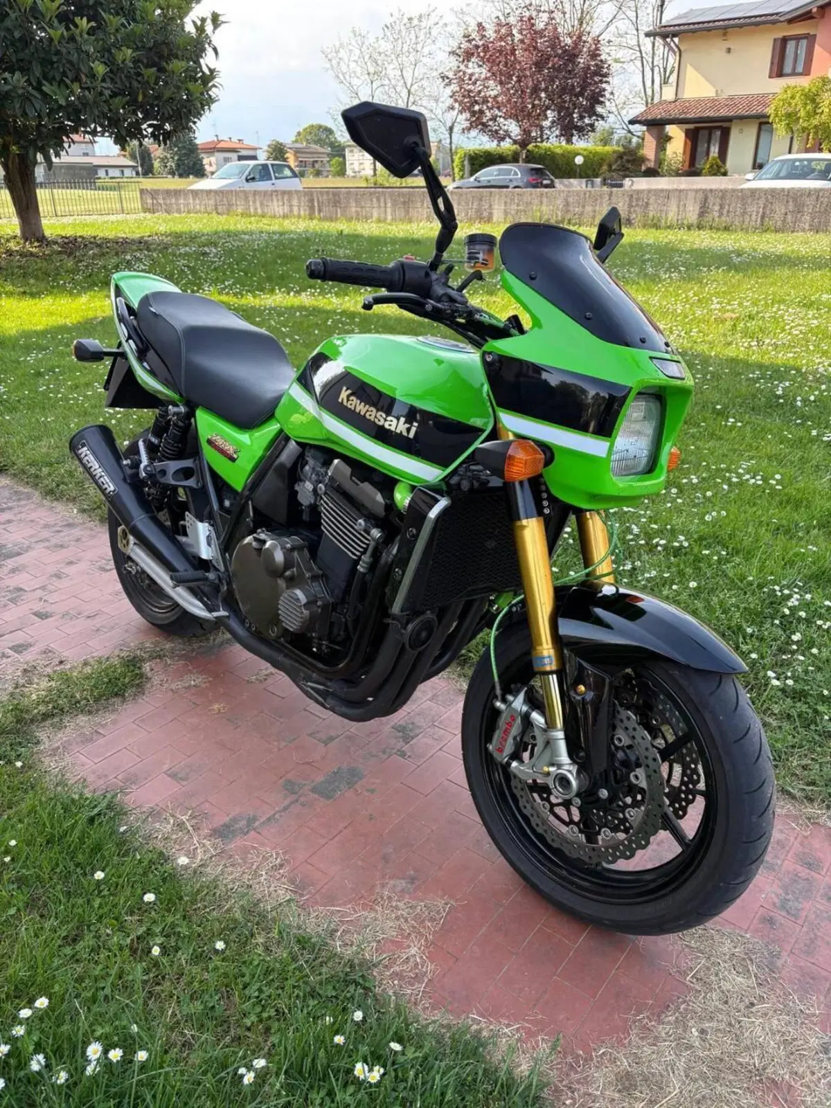 Kawasaki ZRX 1200 S (2001 - 04) (5)
