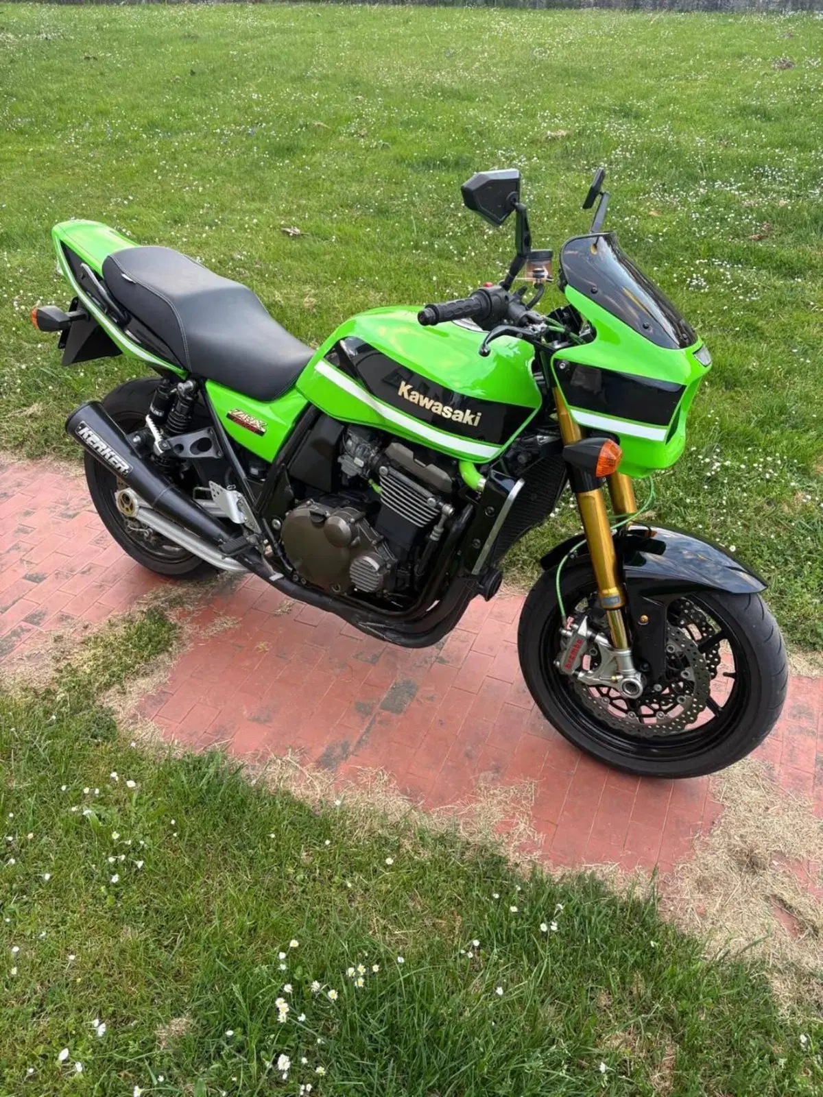 Kawasaki ZRX 1200 S (2001 - 04) (6)
