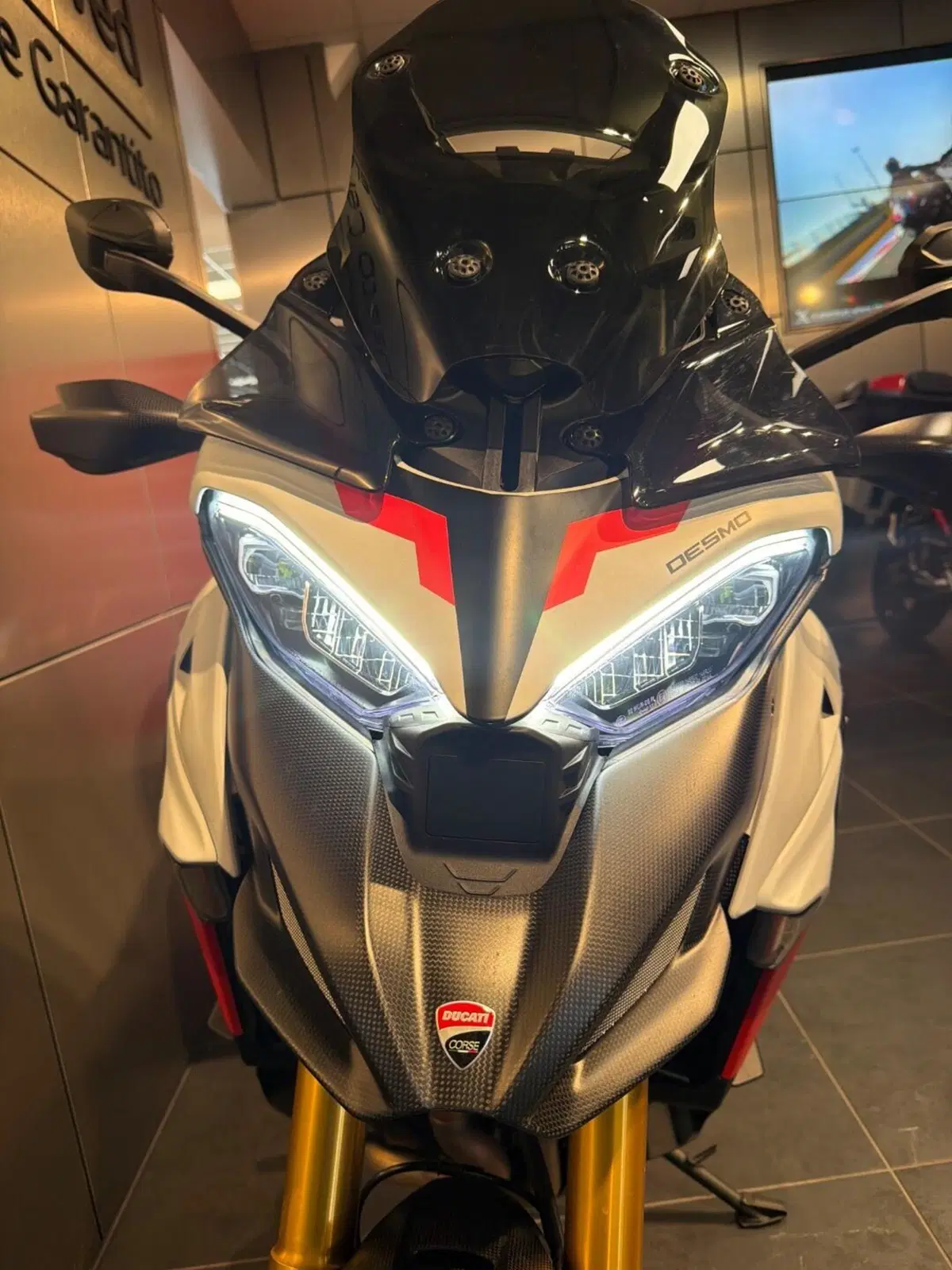 Ducati Multistrada V4 RS (2024 - 25) (11)