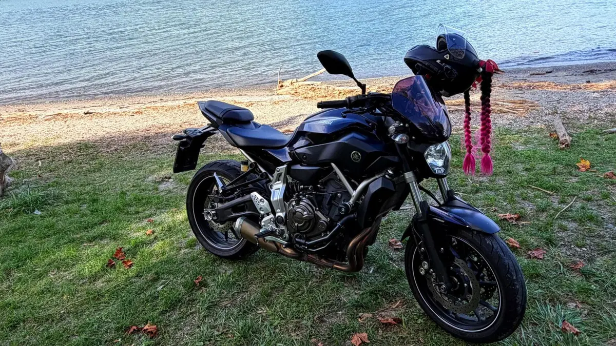 Yamaha MT-07 (2014 - 16) (3)