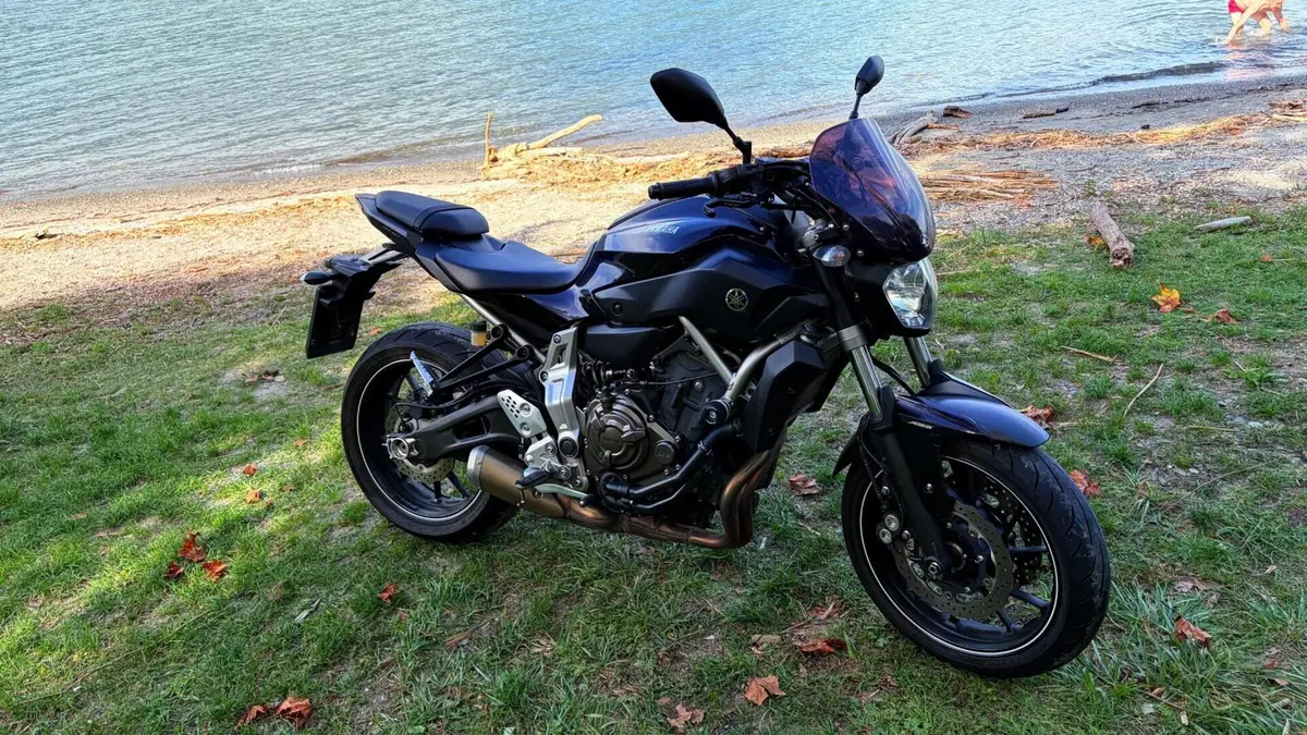 Yamaha MT-07 (2014 - 16) (8)